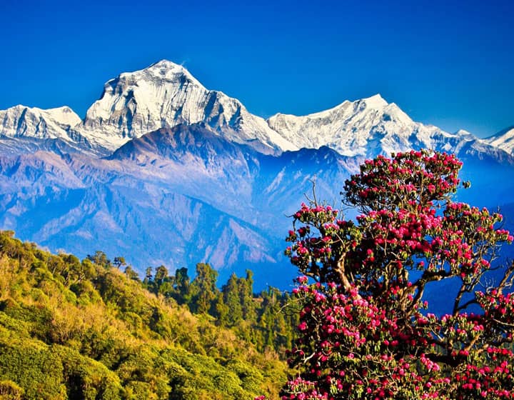 Nepal