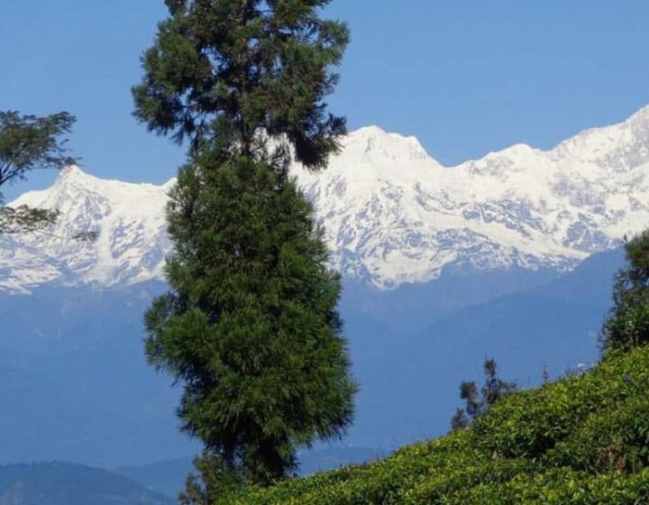 darjeeling tour package