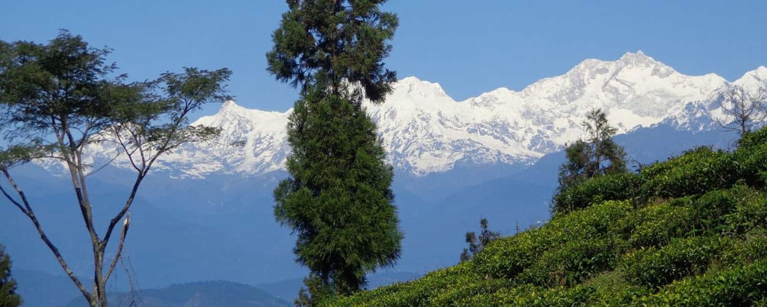 darjeeling tour package